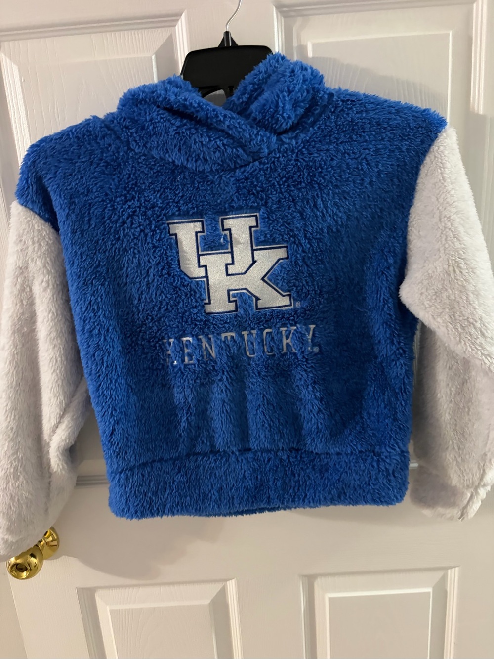 Blue Plush Kentucky Hooded Kids Sweatshirt